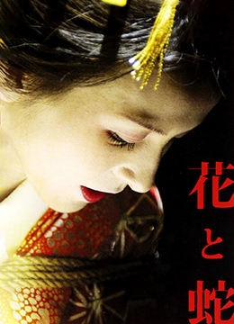 亚洲夜色帮福利网站不卡